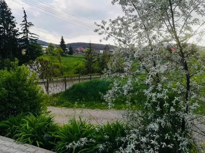 Pensiunea Valurile Bistritei Vatra Dornei Exteriör bild